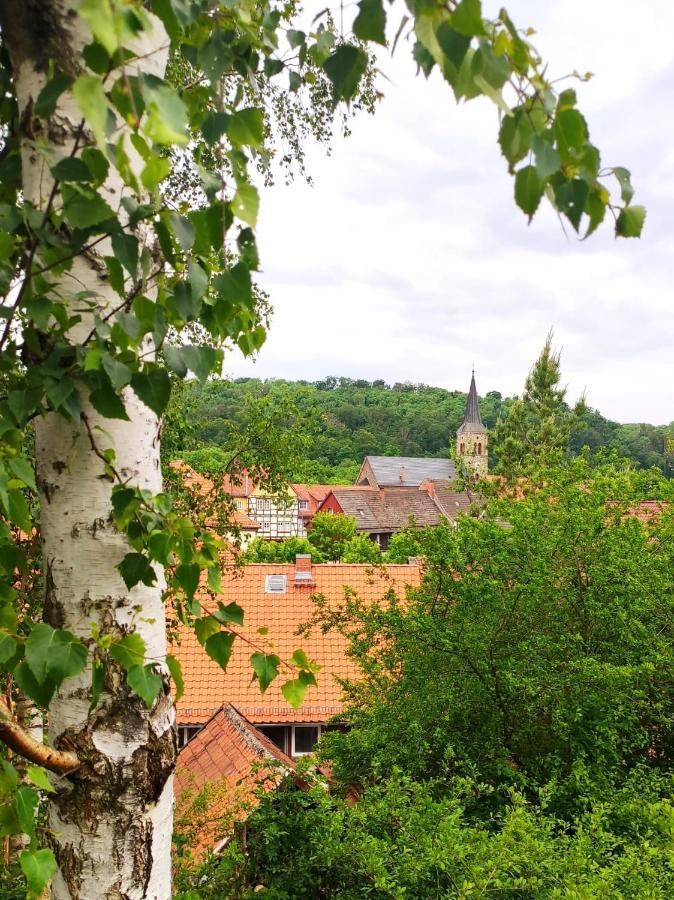 Güntersberge Ferienhaus Blaue Blume Mit 11 Kw Ladestation, Kamin, Terrasse, Eingezaeuntem Garten, Sauna, Wlan, Netflix, 2 Hunde Willkommen! מראה חיצוני תמונה