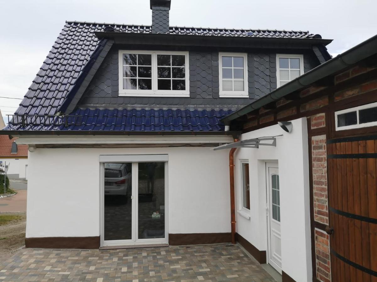 Güntersberge Ferienhaus Blaue Blume Mit 11 Kw Ladestation, Kamin, Terrasse, Eingezaeuntem Garten, Sauna, Wlan, Netflix, 2 Hunde Willkommen! מראה חיצוני תמונה